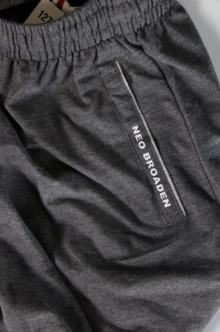 Pantaloni scurți de bărbați, Mărime XL, Culoare Gri, Preț 78,13 Lei