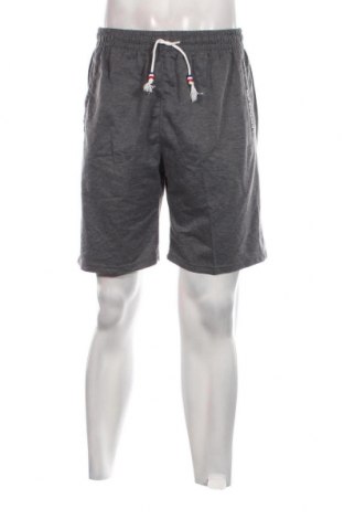 Herren Shorts, Größe XL, Farbe Grau, Preis 17,40 €