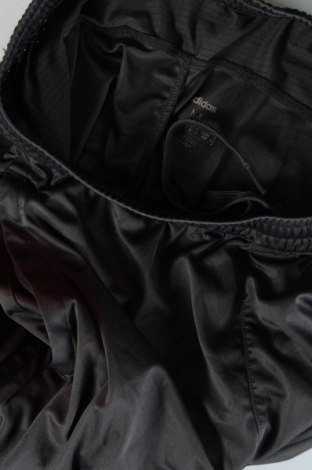 Ανδρικό κοντό παντελόνι Adidas, Μέγεθος M, Χρώμα Γκρί, Τιμή 21,03 €