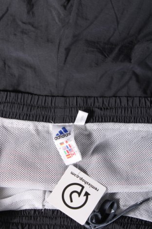 Herren Shorts Adidas, Größe L, Farbe Mehrfarbig, Preis € 17,00