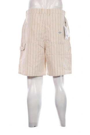 Ανδρικό κοντό παντελόνι Jack & Jones, Μέγεθος L, Χρώμα Εκρού, Τιμή 42,27 €