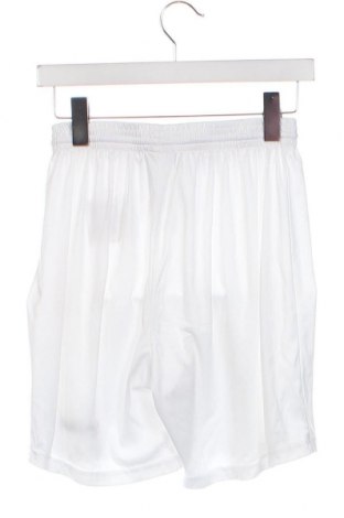Ανδρικό κοντό παντελόνι Jako, Μέγεθος S, Χρώμα Λευκό, Τιμή 6,96 €