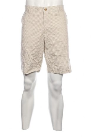 Herren Shorts Marco Donati, Größe L, Farbe Mehrfarbig, Preis 17,85 €