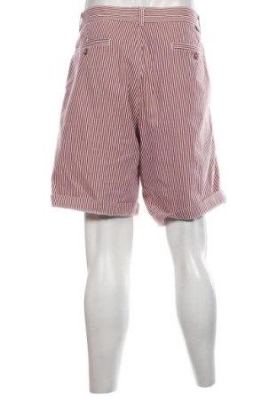 Pantaloni scurți de bărbați Marina Yachting, Mărime L, Culoare Multicolor, Preț 78,06 Lei