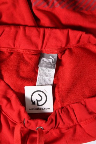 Herren Shorts PUMA, Größe L, Farbe Rot, Preis 22,48 €