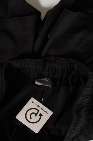 Herren Shorts PUMA, Größe M, Farbe Schwarz, Preis € 22,48