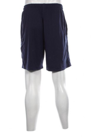 Herren Shorts Under Armour, Größe L, Farbe Blau, Preis 23,66 €