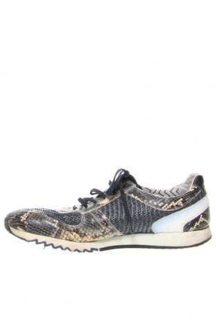 Ανδρικά παπούτσια Floris van Bommel, Μέγεθος 44, Χρώμα Πολύχρωμο, Τιμή 72,28 €