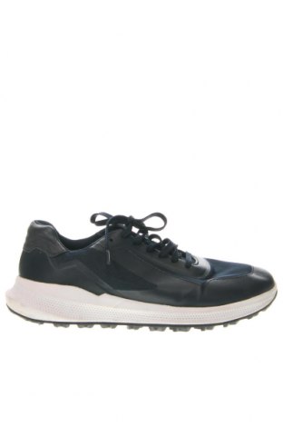 Pánske topánky Geox, Veľkosť 42, Farba Modrá, Cena  50,46 €