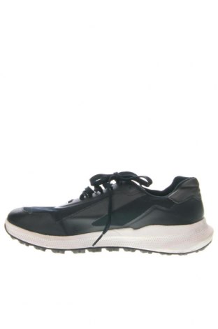 Herrenschuhe Geox, Größe 42, Farbe Blau, Preis € 58,83