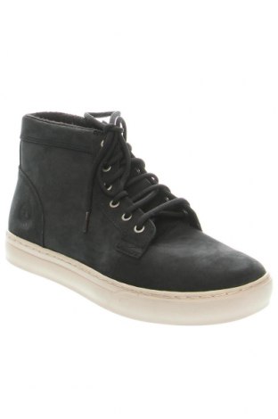 Pánske topánky Timberland, Veľkosť 43, Farba Modrá, Cena  114,59 €