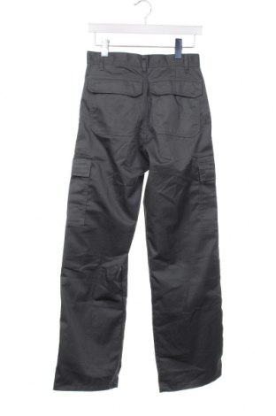 Herrenhose, Größe S, Farbe Grau, Preis € 15,41