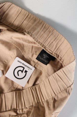 Pánske nohavice  Hummel, Veľkosť XL, Farba Béžová, Cena  11,63 €