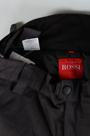 Ανδρικό παντελόνι για χειμερινά σπορ Vittorio Rossi, Μέγεθος L, Χρώμα Γκρί, Τιμή 28,76 €