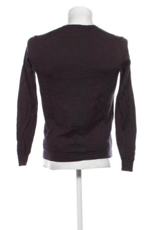 Herrenpullover Cafe Coton, Größe S, Farbe Lila, Preis 8,49 €