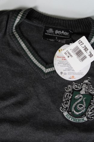 Ανδρικό πουλόβερ Harry Potter, Μέγεθος S, Χρώμα Γκρί, Τιμή 27,15 €