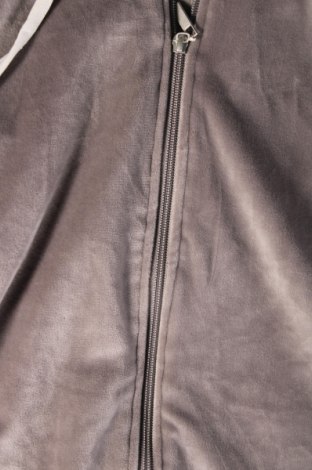Ανδρικό φούτερ, Μέγεθος XL, Χρώμα Γκρί, Τιμή 12,56 €