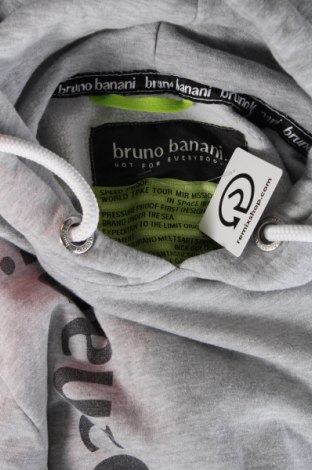 Herren Sweatshirt Bruno Banani, Größe L, Farbe Grau, Preis 19,97 €