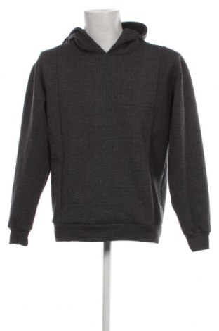 Herren Sweatshirt Zara, Größe L, Farbe Grau, Preis € 12,21