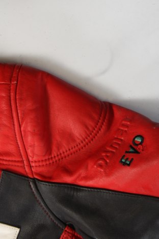 Pánska kožená bunda , Veľkosť L, Farba Viacfarebná, Cena  57,64 €