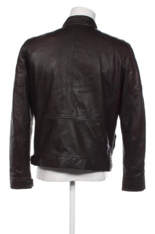 Herren Lederjacke Joop!, Größe L, Farbe Braun, Preis 397,97 €