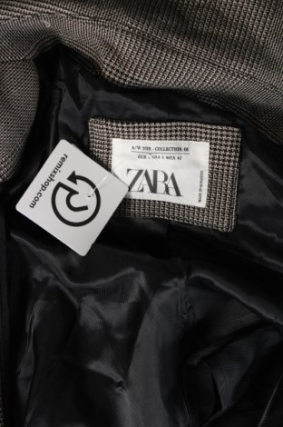 Ανδρικά παλτό Zara, Μέγεθος L, Χρώμα Πολύχρωμο, Τιμή 23,55 €