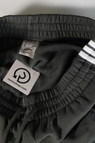 Herren Sporthose Adidas, Größe M, Farbe Grün, Preis 45,54 €