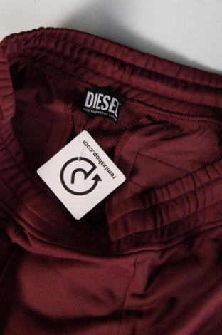 Herren Sporthose Diesel, Größe M, Farbe Rot, Preis € 119,69