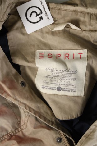 Ανδρικό μπουφάν Esprit, Μέγεθος M, Χρώμα  Μπέζ, Τιμή 23,13 €