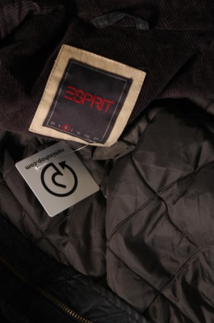 Ανδρικό μπουφάν Esprit, Μέγεθος M, Χρώμα Γκρί, Τιμή 39,50 €