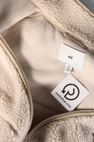 Ανδρικό μπουφάν H&M, Μέγεθος M, Χρώμα Εκρού, Τιμή 14,85 €