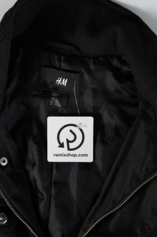 Ανδρικό μπουφάν H&M, Μέγεθος XXL, Χρώμα Μαύρο, Τιμή 17,81 €
