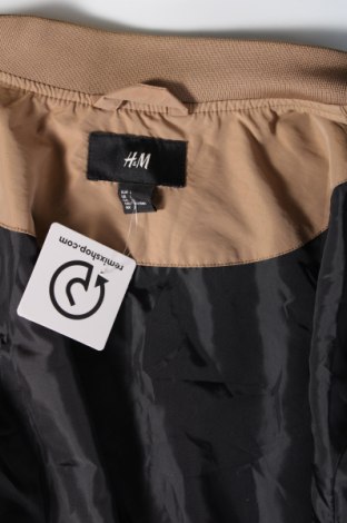 Ανδρικό μπουφάν H&M, Μέγεθος L, Χρώμα  Μπέζ, Τιμή 16,33 €