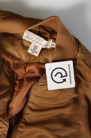 Pánska bunda  H&M L.O.G.G., Veľkosť M, Farba Hnedá, Cena  20,39 €