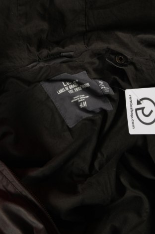 Pánska bunda  H&M L.O.G.G., Veľkosť XL, Farba Zelená, Cena  14,97 €