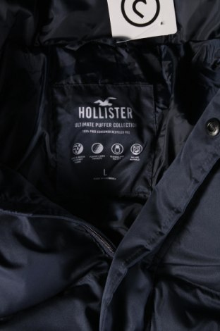 Pánska bunda  Hollister, Veľkosť L, Farba Modrá, Cena  67,55 €