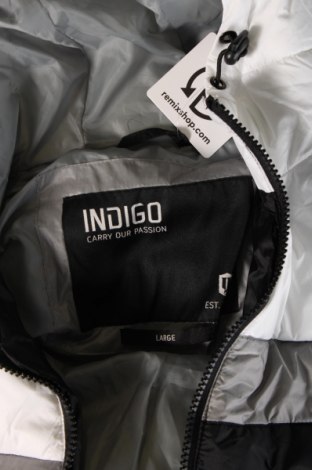 Ανδρικό μπουφάν Indigo, Μέγεθος L, Χρώμα Πολύχρωμο, Τιμή 21,53 €