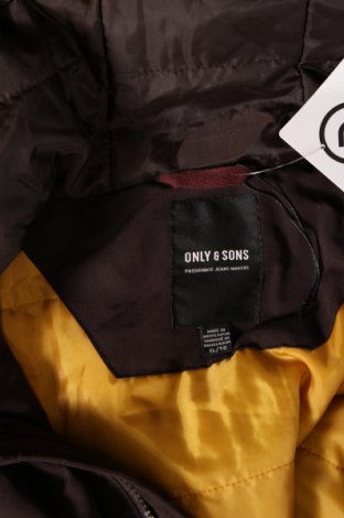 Pánská bunda  Only & Sons, Velikost XL, Barva Hnědá, Cena  513,00 Kč