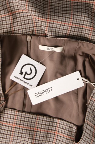 Φούστα Esprit, Μέγεθος XL, Χρώμα Πολύχρωμο, Τιμή 34,76 €