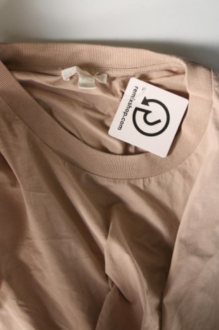 Kleid COS, Größe L, Farbe Beige, Preis 57,06 €