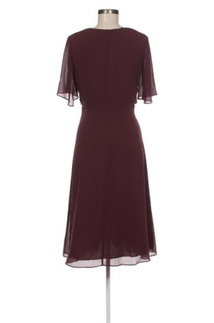 Kleid Comma,, Größe S, Farbe Rot, Preis 41,61 €