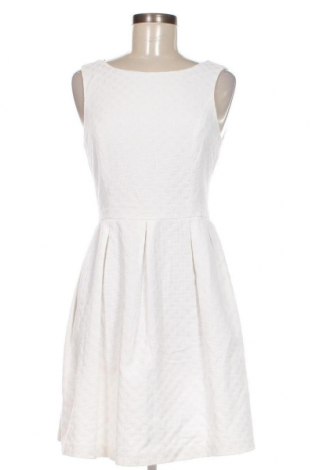 Φόρεμα Dorothy Perkins, Μέγεθος M, Χρώμα Λευκό, Τιμή 7,87 €