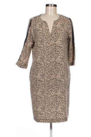 Kleid Garcia, Größe M, Farbe Mehrfarbig, Preis € 16,70