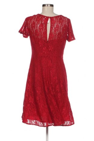 Kleid M&Co., Größe M, Farbe Rot, Preis 19,29 €