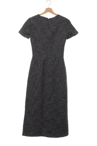 Kleid Massimo Dutti, Größe XS, Farbe Grau, Preis € 37,99