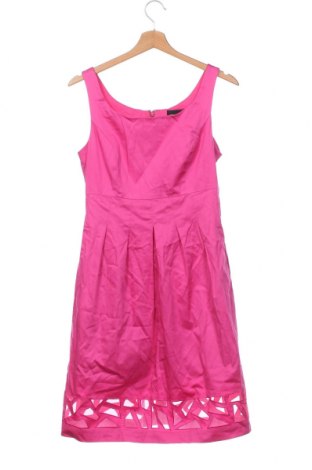 Kleid Max and Cleo, Größe XS, Farbe Rosa, Preis 18,28 €