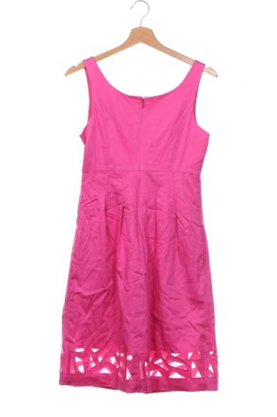 Kleid Max and Cleo, Größe XS, Farbe Rosa, Preis 18,28 €