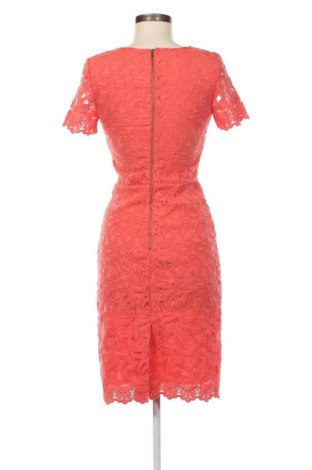 Kleid Next, Größe XS, Farbe Rosa, Preis € 17,37