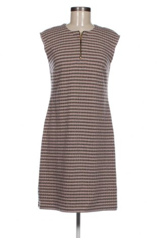 Kleid Patrizia Dini, Größe M, Farbe Mehrfarbig, Preis 16,70 €