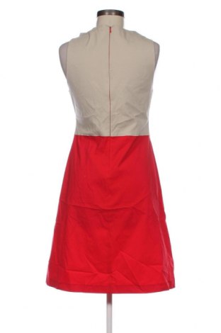 Kleid Roberta Biagi, Größe L, Farbe Mehrfarbig, Preis 57,06 €